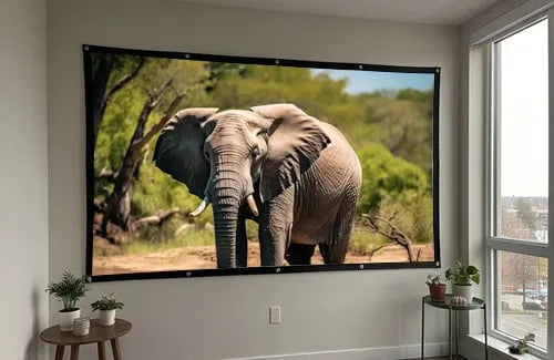 Metallic Anti-Light Projector Screen