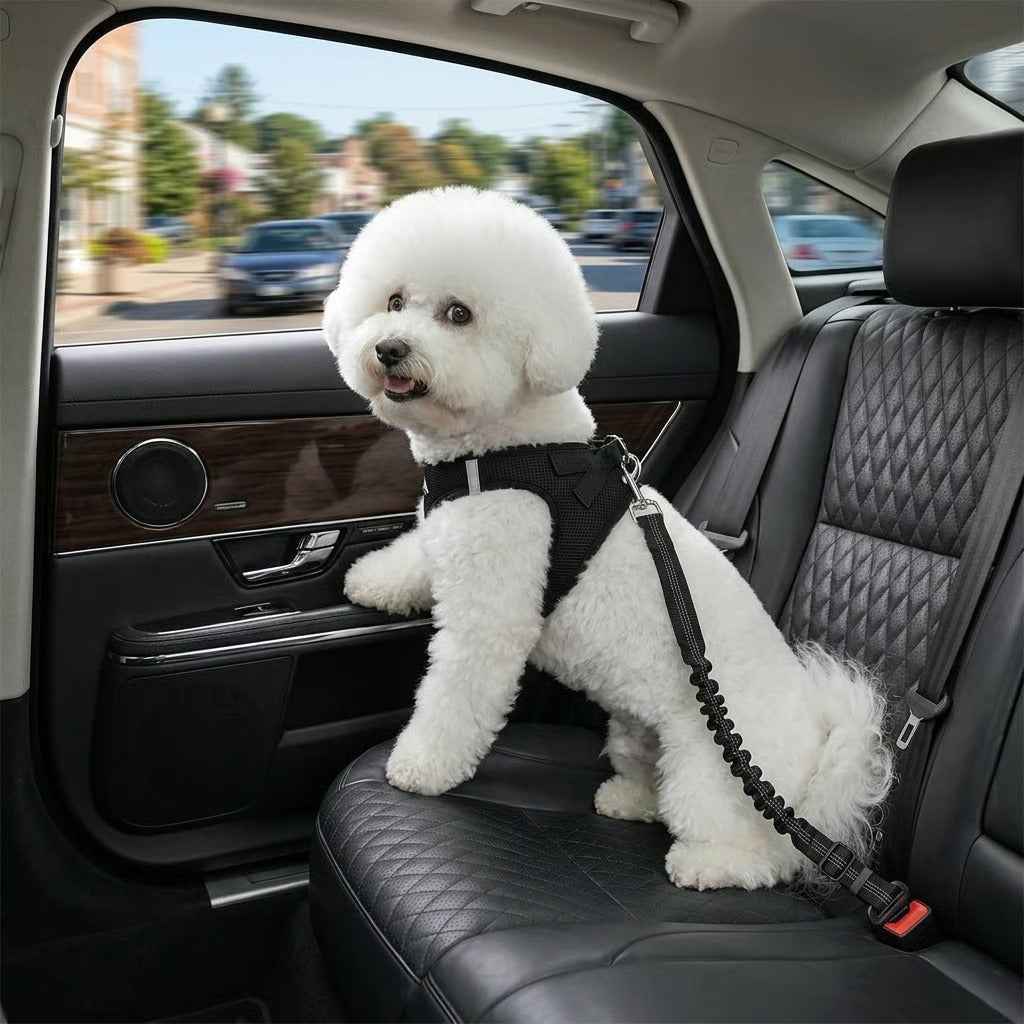 🐾 Sick of uncomfortable travel gear for your pup? This belt changes everything!