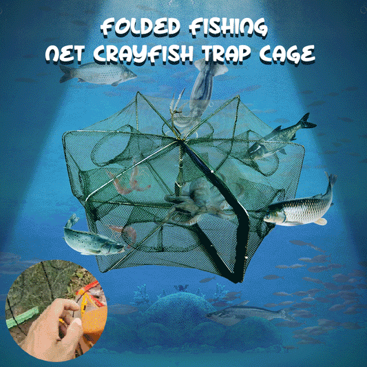 An easier way to fish🦐🦀Automatic Foldable Fish Catcher – The Smart Trap for Bigger Catches! 🎣✨